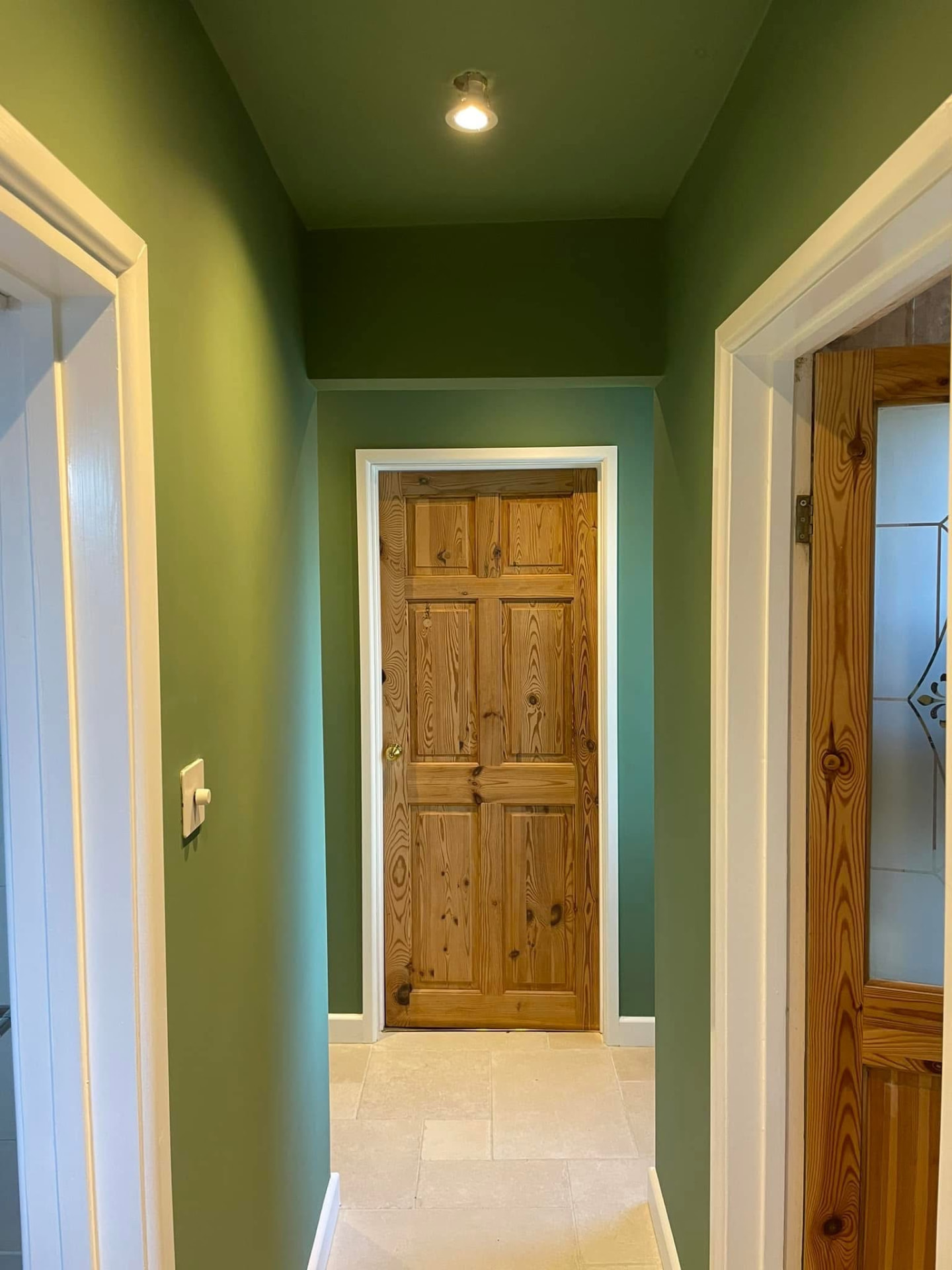 Finished hallway with sage-green walls and ceiling, pine doors and spotlights